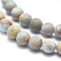 Natural Aqua Terra Jasper Beads Strands, Frosted, Round