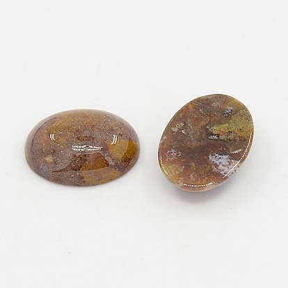 Cabochons de pierres fines ovales mélangent, couleurs assorties, agate indienne, 16x12x5mm