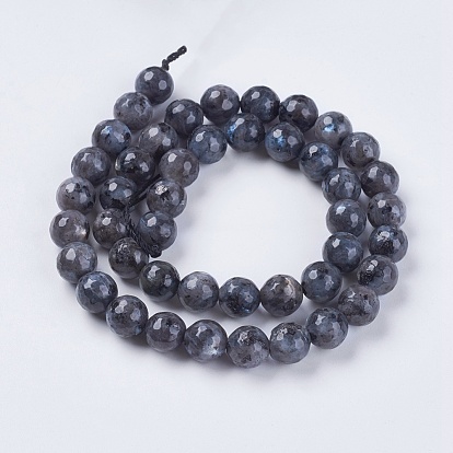 Natural Larvikite Beads Strands, Faceted, Round