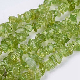 Natural Peridot Beads Strands, Chip, 3~7x2~4x2~4mm, Hole: 1mm