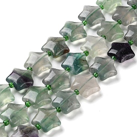 Natural Fluorite Beads Strands, with Seed Beads, Puffed Star