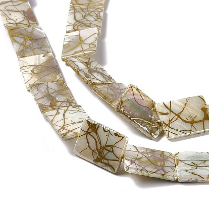 Brins de perles de coquille d'eau douce naturelles de style drawbench, de couleur plaquée ab , rectangle
