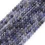 Natural Cordierite/Iolite/Dichroite Beads Strands, Faceted, Round