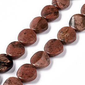 Perles naturelles fossiles brins, torsion plat rond