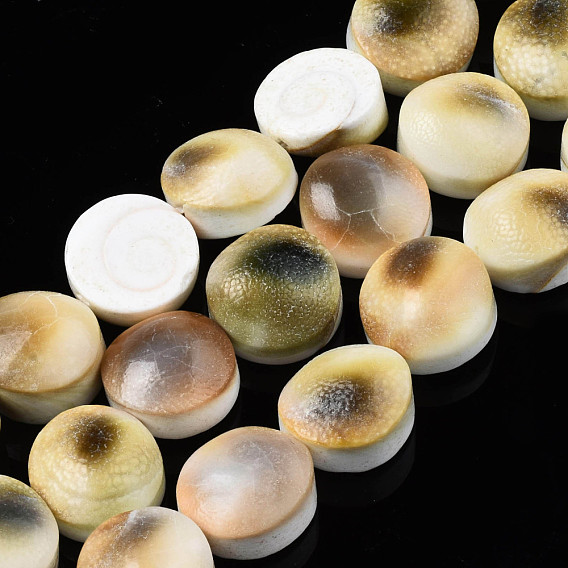 Natural Trumpet Shell Bead Strands, Flat Round