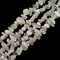 Natural Moonstone Beads Strands, Chip