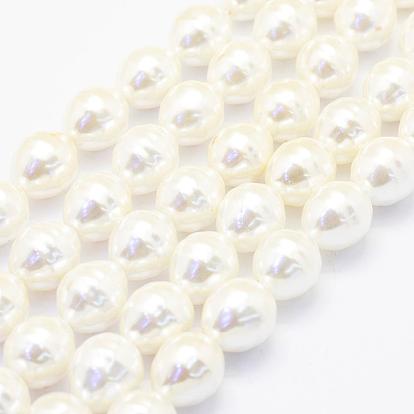 Shell Pearl Beads Strands, Oval