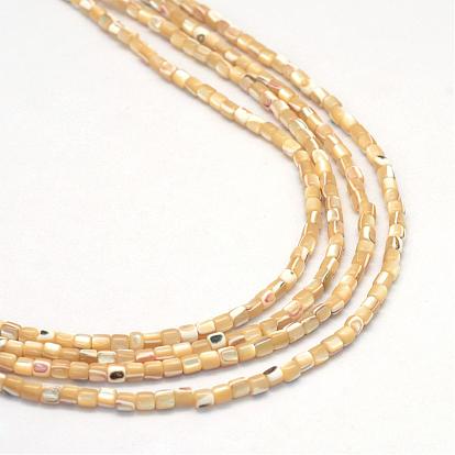 Natural Trochid Shell/Trochus Shell Bead Strands, Oval, 3x3mm, Hole: 1mm, about 135~140pcs/strand, 15.7 inch