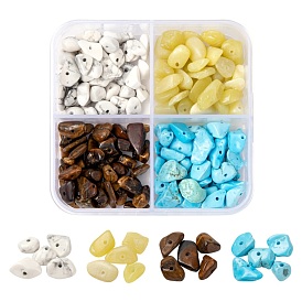 60G 4 Style Mixed Gemstone Beads, Chip