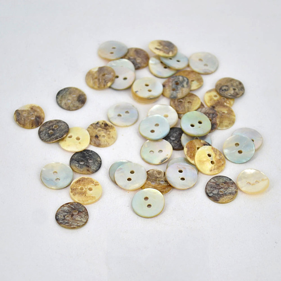 Huîtres perlières boutons shell, plat rond
