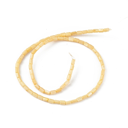 Natural Freshwater Shell Dyed Beads Strands, Column