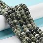Línea de plata natural hebras de perlas de jaspe, facetados, Rondana plana