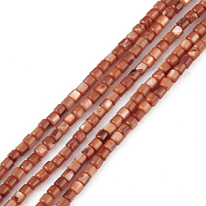 Natural Freshwater Shell Dyed Beads Strands, Cube