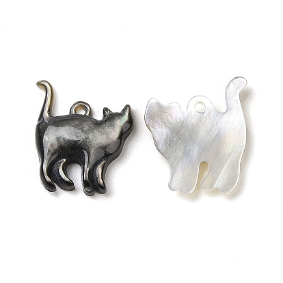 Colgantes de labio negro natural de concha, amuleto de gato