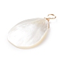 Natural Trochid Shell/Trochus Shell Pendants, with Real 18K Gold Plated Copper Wire, Teardrop