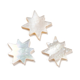 Natural Sea Shell Cabochons, Star