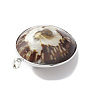 Natural Sea Shell Big Pendants, Oval Charms, with Platinum Tone Brass and Alloy Findings