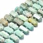 Natural Amazonite Beads Strands, Faceted, Double Terminated Pointed/Bullet