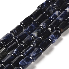 Natural Sodalite Beads Strands, with Seed Beads, Faceted, Column