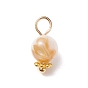 Natural Freshwater Shell Charms, with Golden Tone Alloy & Brass Findings, Round