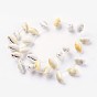 Natural Cowrie Shell Beads Strands
