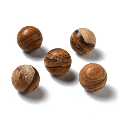 Natural Picture Jasper Beads, No Hole/Undrilled, Round