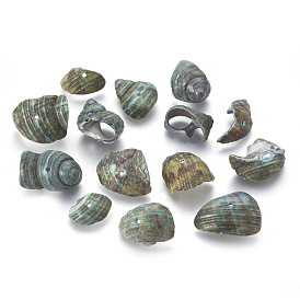 Natural Sea Shell Beads, Mixed, 12~22x10~22x2~4mm, Hole: 2mm