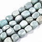 Natural Flower Amazonite Beads Strands, Tumbled Stone, Nuggets