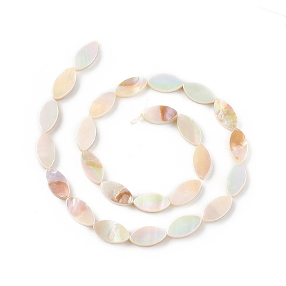 Natural Freshwater Shell Beads Strands, Horse Eye