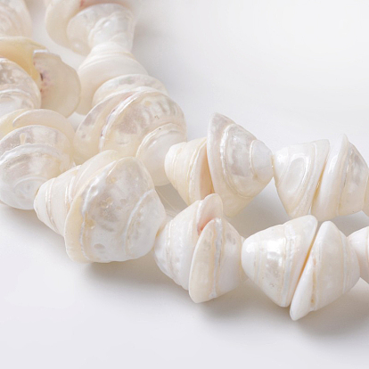 Hebras de perlas shell naturales, turritella, 10~15x13x18 mm, agujero: 1 mm, sobre 52 unidades / cadena, 15.7 pulgada