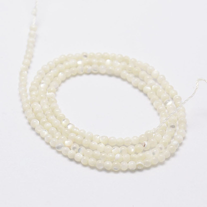 Perles naturelles de coquillages blancs, brins de perles en nacre, ronde