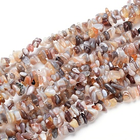 Natural Botswana Agate Beads Strands, Chip