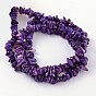 Natural Shell Beads Strands, Dyed, Chips, 5~12x5~8x1~6mm, Hole: 1mm