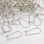 316 Surgical Stainless Steel Hoop Earrings