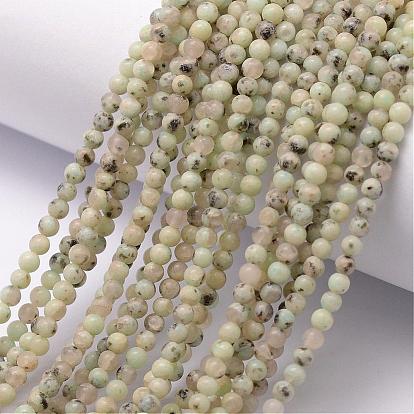Jaspe de sésame naturel / brins de perles de jaspe kiwi, ronde
