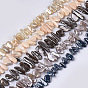 Electroplate Shell Pearl Beads Strands, Chip