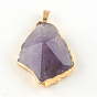 Mixed Shape Faceted Golden Plated Natural Amethyst Pendants with Iron Clasps, 43~50x28~36x11~16mm, Hole: 6x4mm
