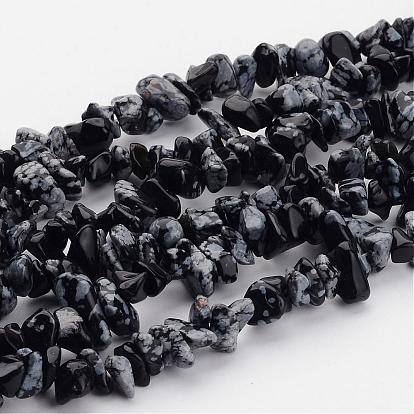 Natural Snowflake Obsidian Beads Strands, Chip