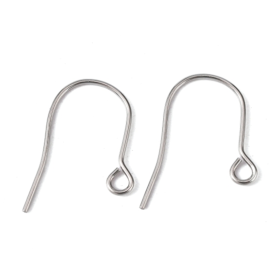 304 Stainless Steel Ear Wire, with Horizontal Loop