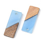 Resin & Walnut Wood Pendants, Opaque, Rectangle,