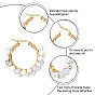 Unicraftale 304 Stainless Steel Hoop Earrings, Beaded Hoop Earrings, with Natural Howlite Beads, Ring