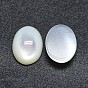 Cabochons coquille, ovale