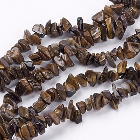 Tigre de pierre d'oeil rangées de perles, puce, 4~10x4~6x2~4mm, Trou: 1mm, Environ 210 pcs/chapelet, 35.4 pouce