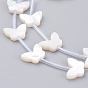 Natural White Shell Mother of Pearl Shell Beads, Butterfly