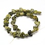 White Bear Natural Serpentine/Green Lace Stone Beads Strands