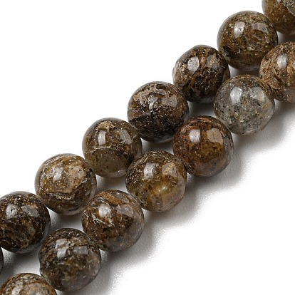 Brins de perles de jaspe feuille d'or naturel, ronde