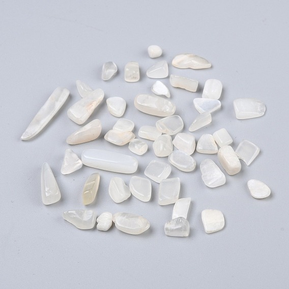 Natural White Moonstone Beads, No Hole/Undrilled, Chip