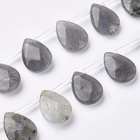 Natural Labradorite Beads Strands, Top Drilled Beads, Faceted, Teardrop