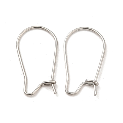 316 Surgical Stainless Steel Hoop Earrings Findings Kidney Ear Wires