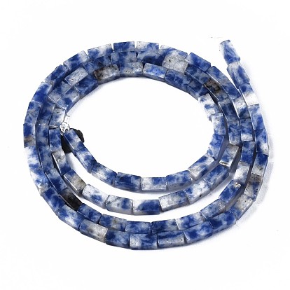 Perles de jaspe tache bleue naturelle, cuboïde